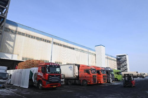 新疆海鴻國際食品物流港匯通智冷4萬噸倉庫試運行，打造國際冷鏈物流新樞紐