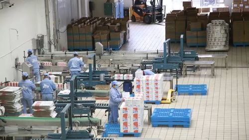 打造一片凈土，開(kāi)足馬力保牛奶制品安全供應(yīng)與勞動(dòng)保護(hù)用品銷(xiāo)售